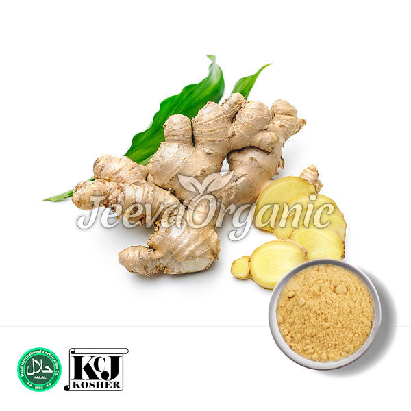 Ginger-Extract