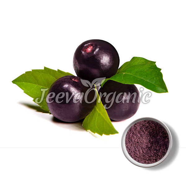 Organic Acai Berry Powder Supplier | Bulk Acai Berry Powder