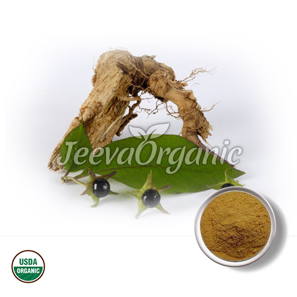 Organic Belladonna Root Powder