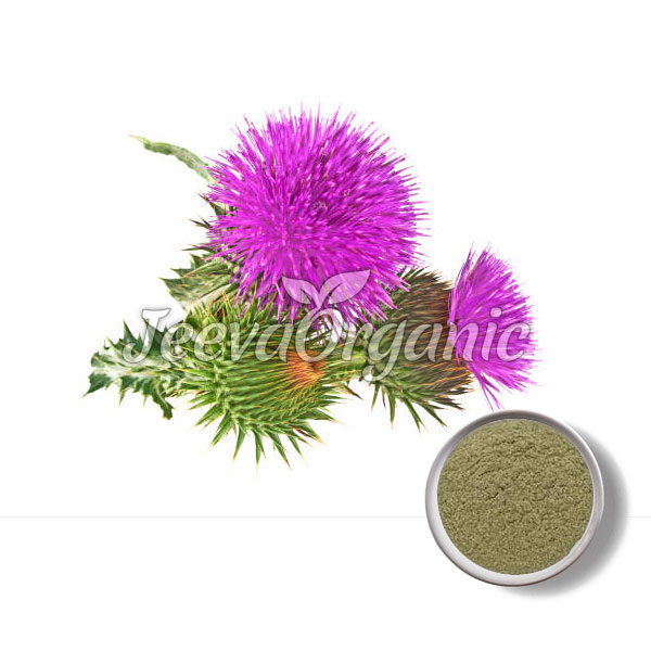 Blessed-Thistle-Powder
