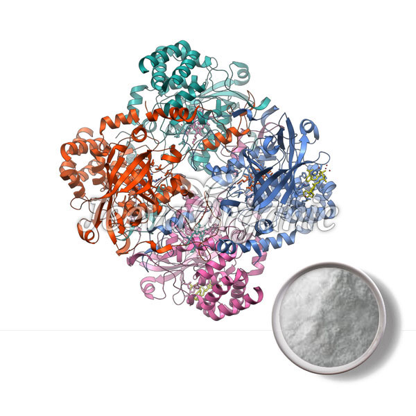 Catalase (Aspergillus) Powder