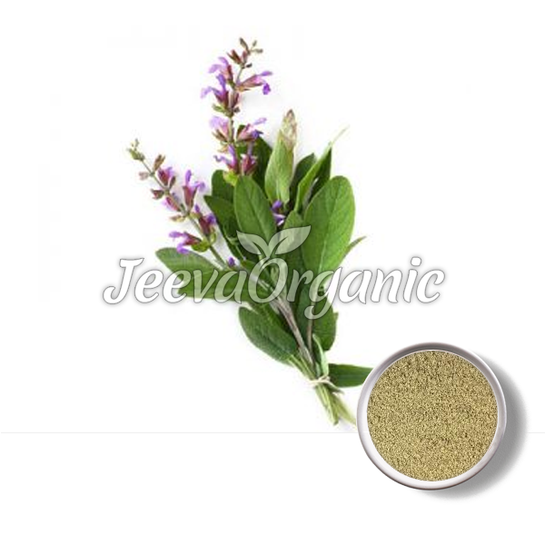 Sage Leaf Extract Powder
