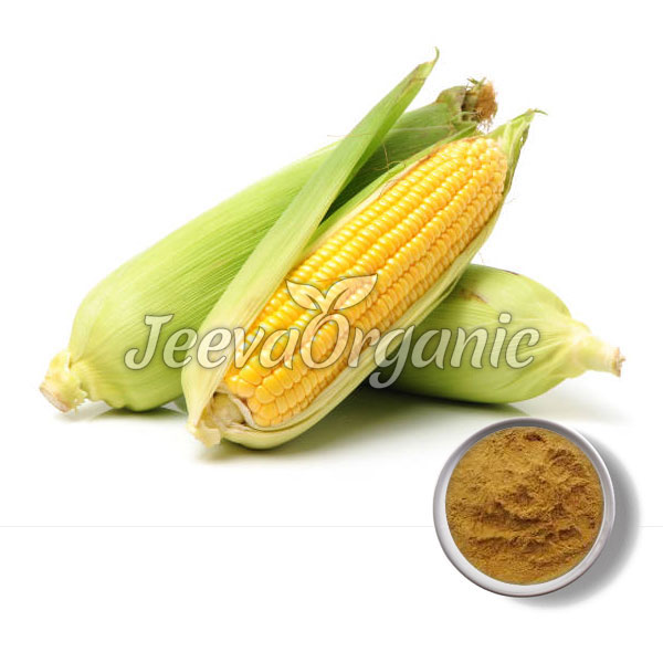 Corn Silk Powder