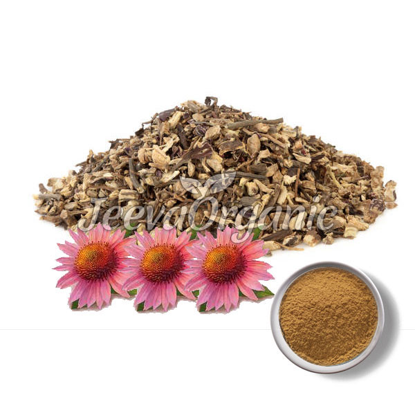 Echinacea-Root-Powder