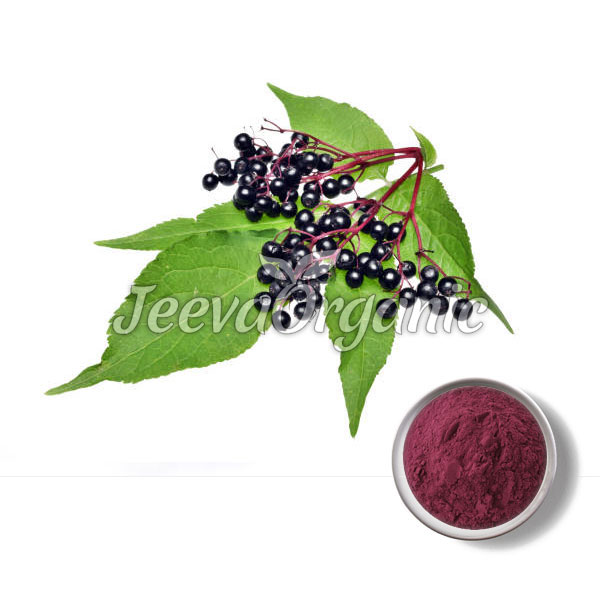 Elder Berries Powder