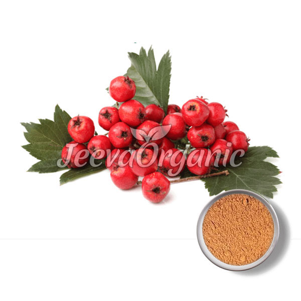 Hawthorn Berries Powder