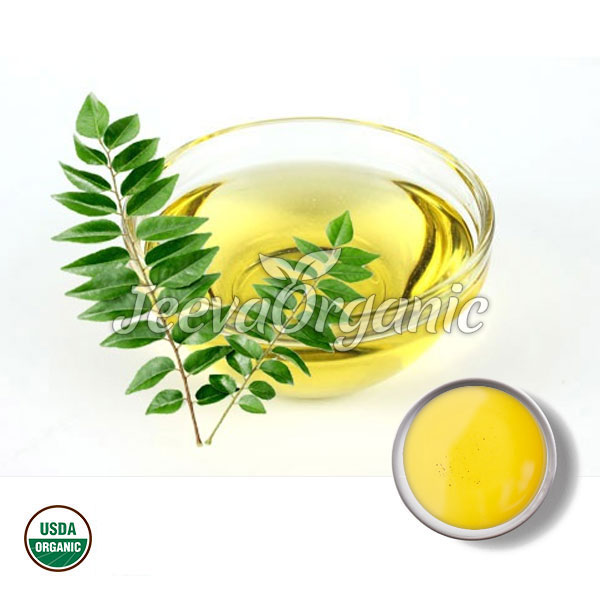 Organic Curry Leaf Oil Supplier | Bulk Organic Curry Leaf Oil Supplier