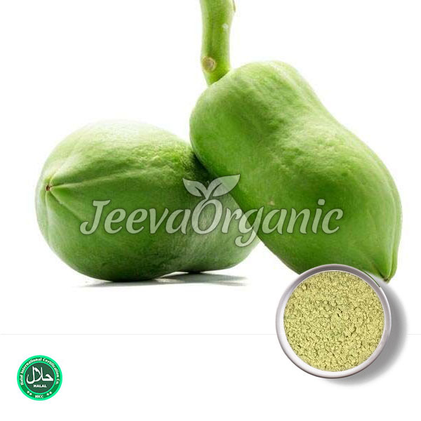 Top Green Papaya Powder Supplier | Bulk Green Papaya Powder
