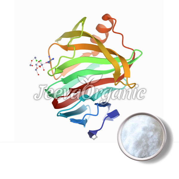 Xylanase (Trichoderma) Powder