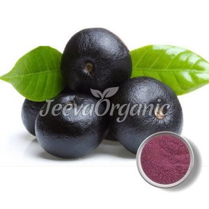 Acai Berry extract powder 4:1