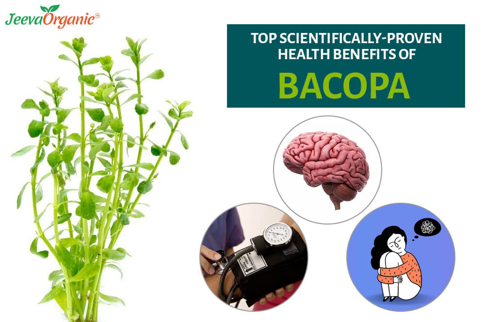 Benefits of Bacopa