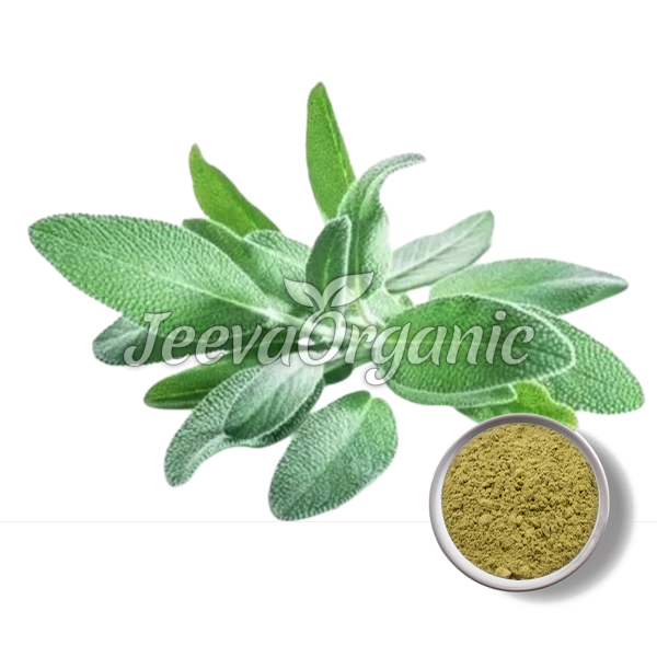 Organic Sage Leaf Powder