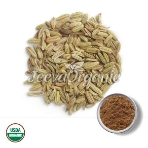 Organic Fennel Seed Extract Powde
