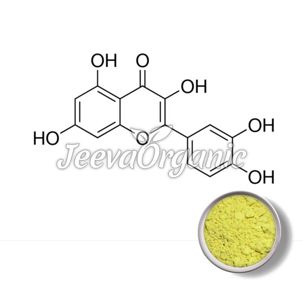Quercetin Dihydrate Extract Powder 95%
