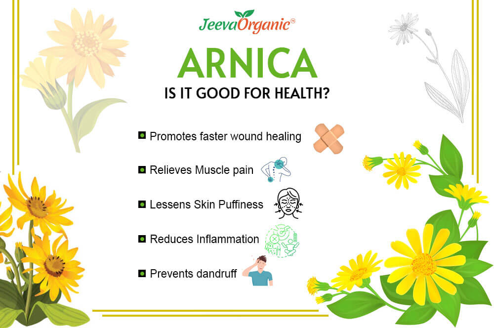 What Is Arnica Montana Flower Used For?