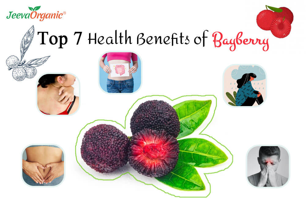 Benefits of Bayberry