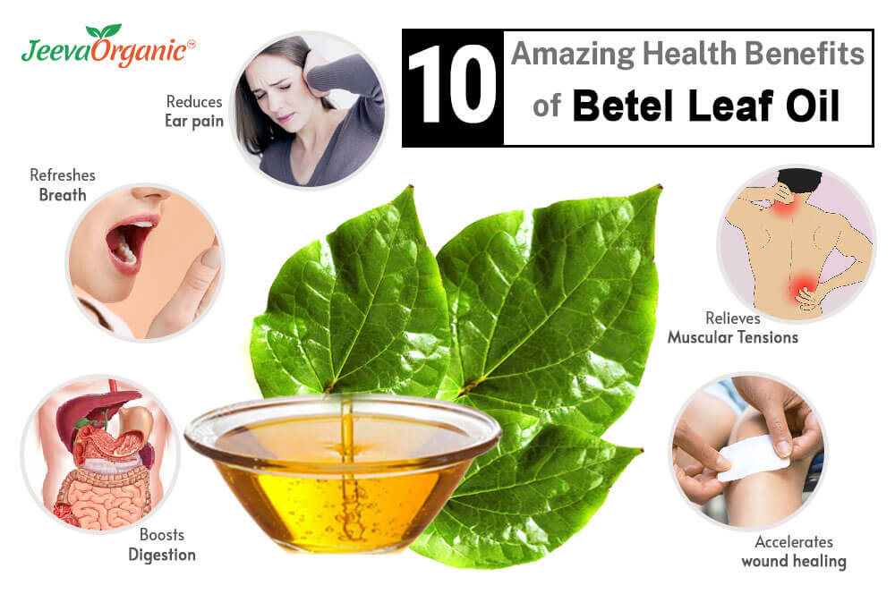 Betel Leaf Benefits For Liver