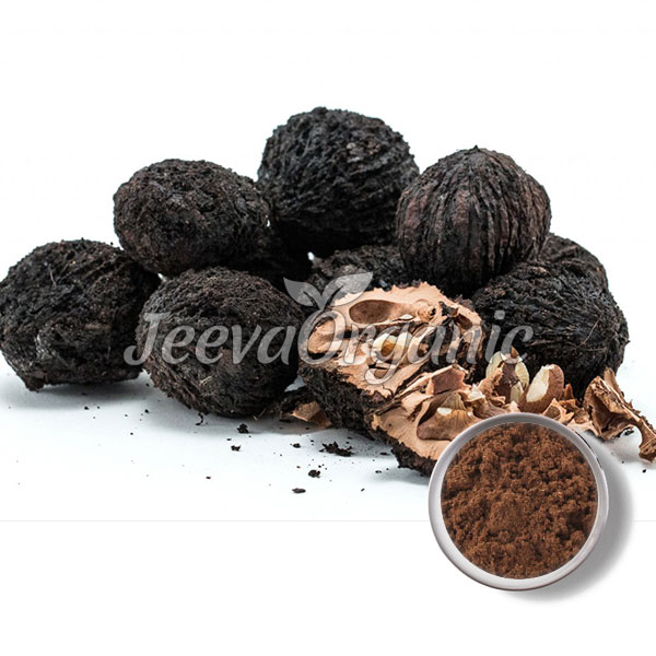 Organic Black Walnut Hull Powder