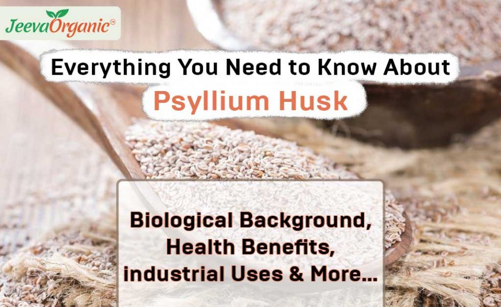 About Psyllium Husk