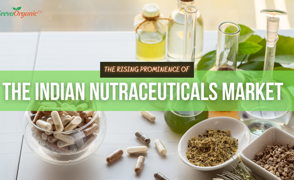 The Rising Prominence of the Nutraceuticals and Dietary Supplements Industry