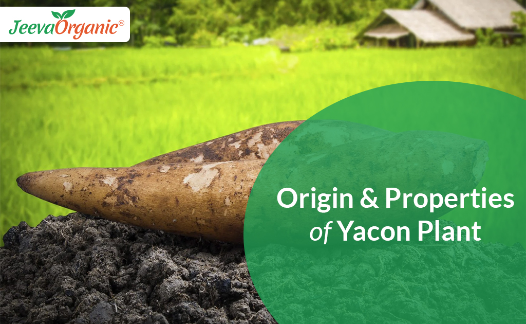 Yacon Powder An Alternative to Sugar