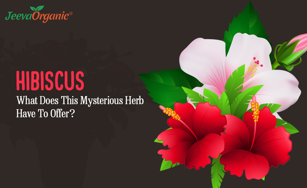 Hibiscus Flower Powder A Mysterious Herb Extract